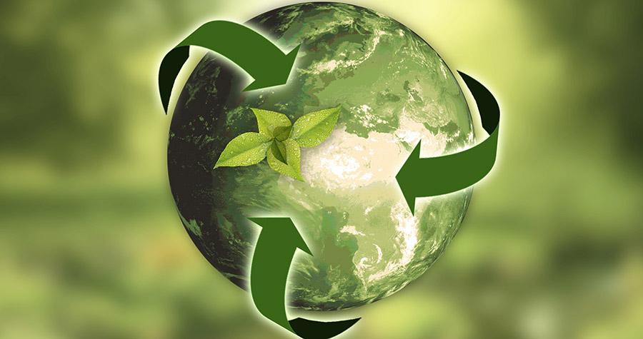 environment